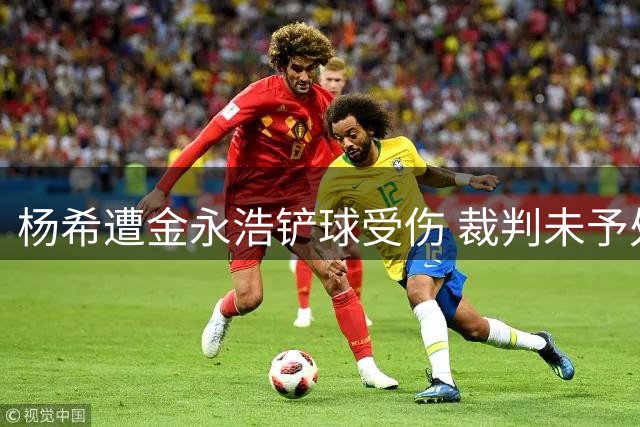 杨希遭金永浩铲球受伤 裁判未予处罚引热议